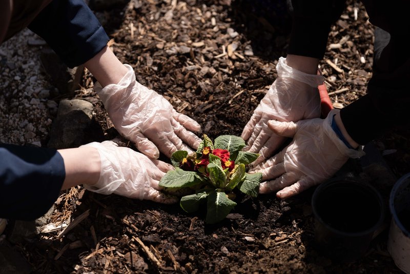 881e8565-9e3f-4920-a43b-2b710066e4fc